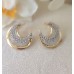 İki Renkli Çift Hilal Model Taşlı Küpe - Gold & Gümüş Işıltılı Modern Tasarım S03 F15 İki Renkli Çift Hilal Model Taşlı Küpe - Gold & Gümüş Işıltılı Modern Tasarım S03 F15